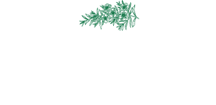 O Tātou Ngāhere conference: Regenerating our landscape with native forest