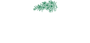 O Tātou Ngāhere conference: Regenerating our landscape with native forest